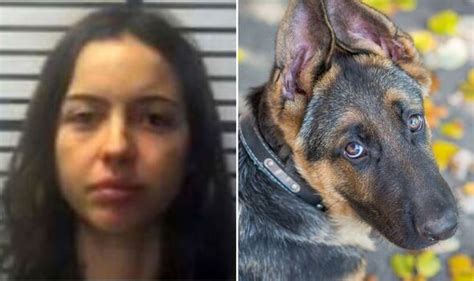 teen doggy porn|Teen, 19, had extremely graphic sex with dog in horrific video